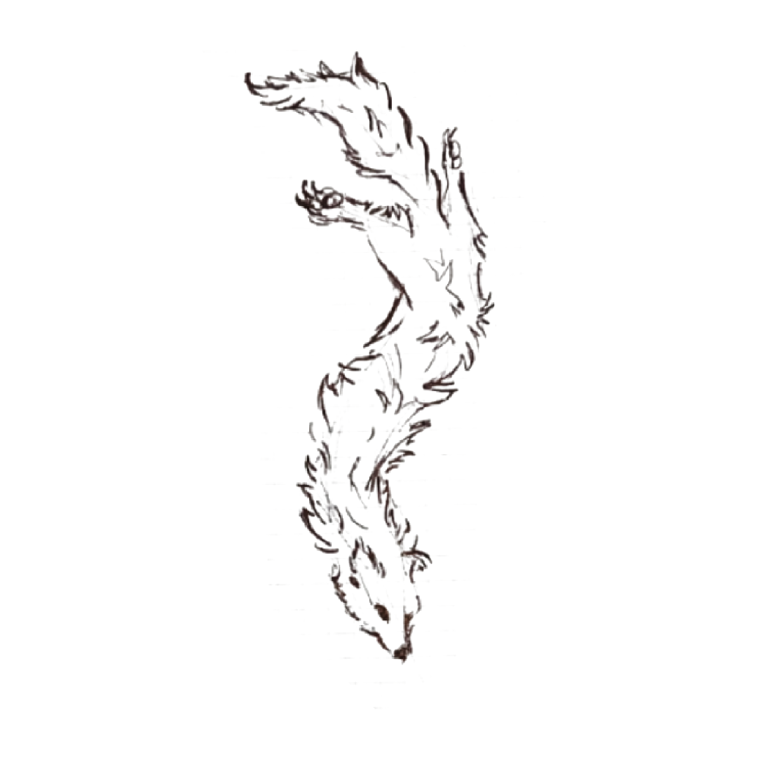 101algo